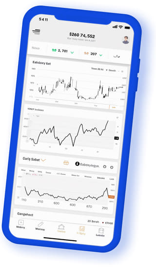 Silver Fondex digital web application on mobile device